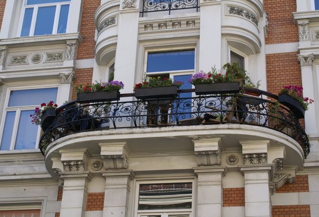 バルコニーに飾られたプランターを見上げて一枚。