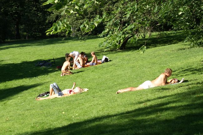 その隣では芝生の中で気持ち良さそうに日光浴をしていた。<br /><br />暑くないのかな〜？