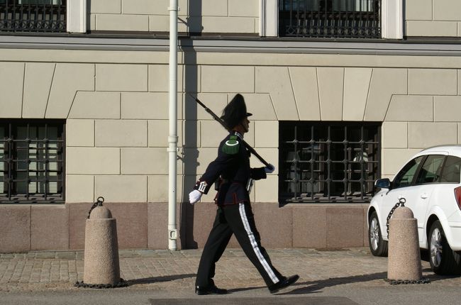 芝生と反対側に王宮の建物があって、衛兵さんがゆっくり歩いている。<br />こうして定期的に10m位を歩くらしい。