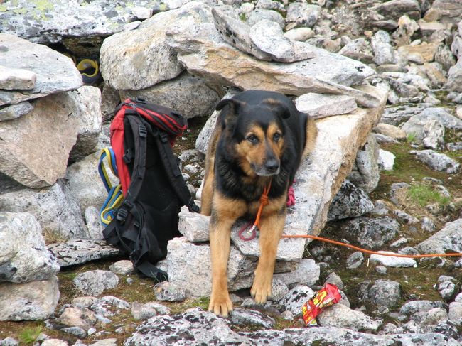 湖から先は傾斜が急になるので、ワンちゃんはここでお留守番です。<br />私たちもここから引き返すことにします。