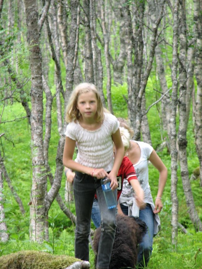 下から登ってくる家族に会いました。<br />この時点で、午後4時くらい。<br />この時間から登り始めて、どこまで行くんでしょうか。<br />一日中明るいので、こんなことも出来るのでしょうね。