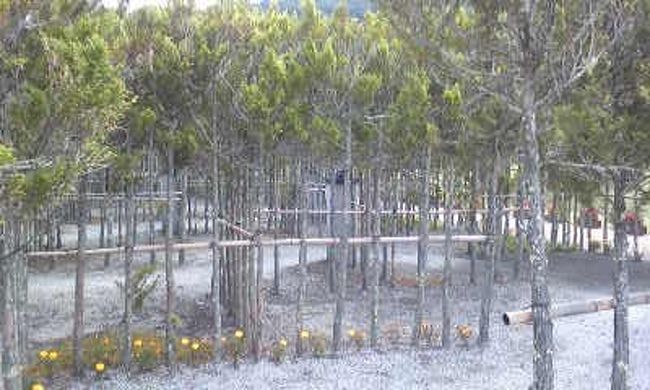 【彫刻公園】<br /><br />迷路になってます。<br /><br />迷路の中にも作品があります。<br />たぶん十二支の彫刻を順番に探しながら歩いていくとゴールにたどり着きます。<br />私達はゴールから入っちゃいました^^;