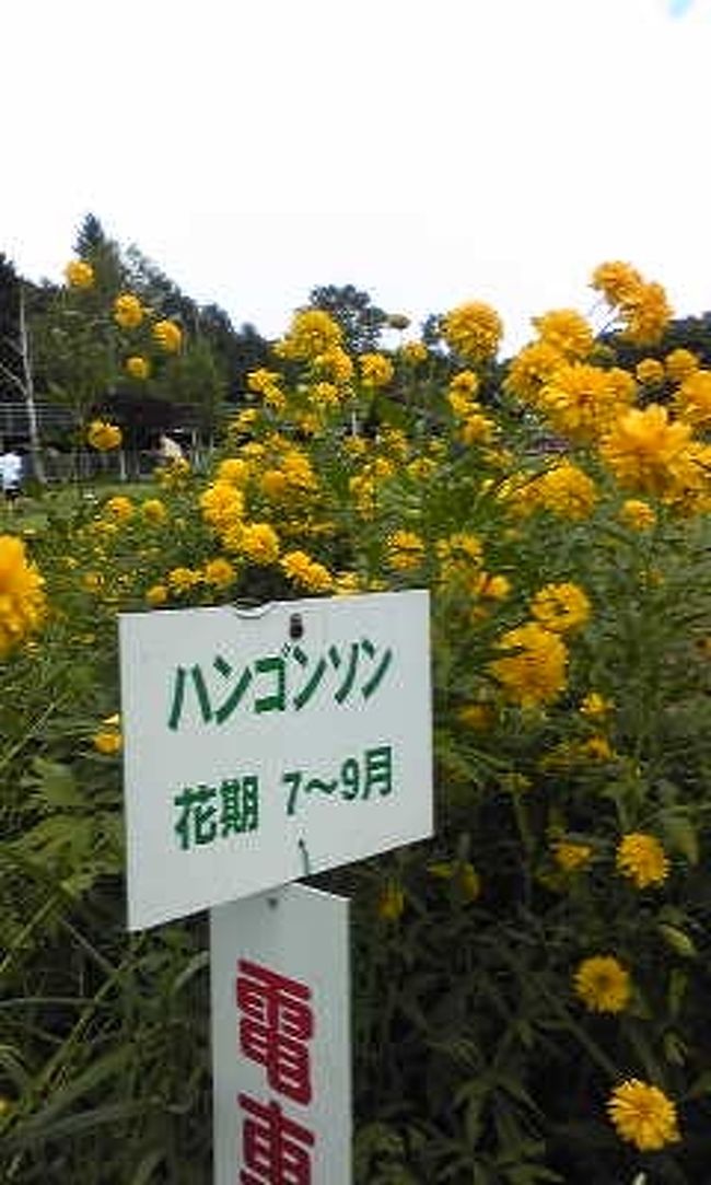 【白樺リゾートファミリーランド】<br /><br />アクセス：<br />諏訪南ICから車で約35分<br /><br />料金（）内は一般大人料金：<br />共通入園券（900円）<br />ビッグ5券（2,400円）<br />フリーパス券（3,800円）<br />ゴルフプラン（1,500円）などがあります。<br /><br />私達はビッグ5券を購入。<br />入園とアトラクション5種または５回利用できます。<br />（アトラクションによっては２回分必要なものもあります。）<br /><br />