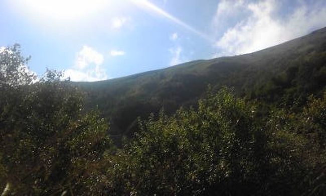 高原めぐり<br /><br />車中から。