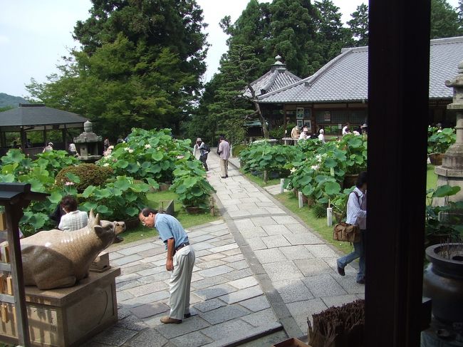 おじさんが覗き込んでいるのは宝勝牛の口の中。<br />牛の石像の口の中には石の玉があり、<br />これを撫でると勝運がつくらしいです。<br />