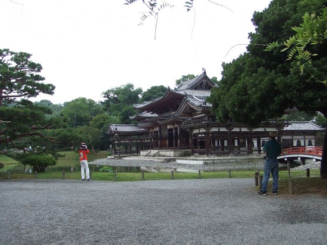 続いては同じ宇治の平等院。<br />ここの宝物殿は、私の大学の学科の教授が<br />設計したもの。（所属ゼミはお隣だけど）<br />以前来た時は建設中だったので入るつもりが<br />猛暑で朦朧としたままスルー・・・<br />お気に入りスポットなのに真夏ではイマイチでした。<br />