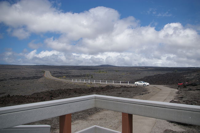 キラウェア火山近くは、見渡す限り溶岩が固まった黒い土壌でびっしり