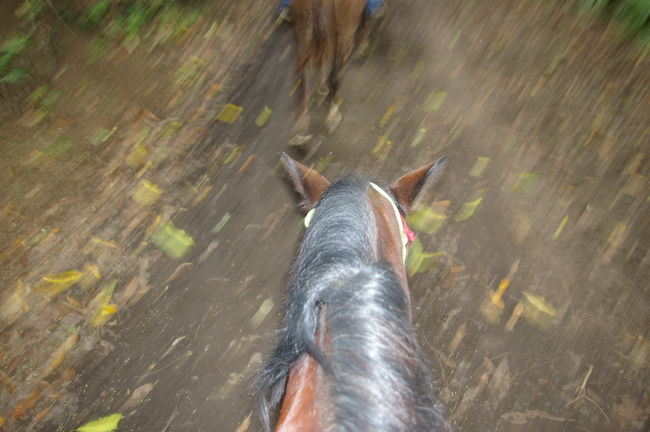 ここからは馬にのって渓谷散策。<br />なかなか馬の操縦は難しいものです。