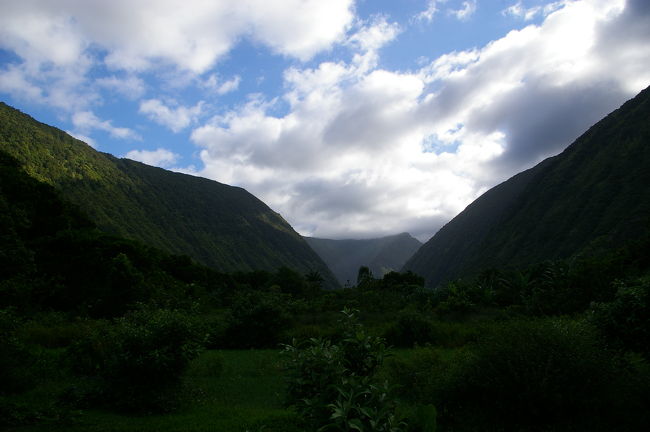 渓谷の中は自然一杯で開放感抜群