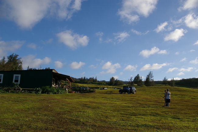 のんびりとしたワイピオ渓谷への拠点の牧場地帯から出発。