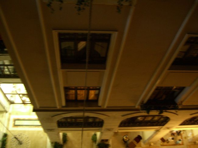 ここからイスタンブールまで、約1時間のフライト。<br />お昼を食べたばかりのお腹に、機内サービスのサンドイッチを食べて、お腹いっぱいww。あっという間に、イスタンブールに着いた。<br />そこからまたバスに乗り、旧市街にあるホテルまで。しかし、イスタンブールに着くなり、都会だねぇー。夕方のせいか、渋滞がひどい。<br />誰かが「火事や」と言った。  (´σ ｀) ﾎｼﾞﾎｼﾞ フーンと思ってたら、「バスが入れないので、ここから歩きます」と言われ、バスを降りてガイドさんに付いて、5分ほど歩いてホテル到着。<br />各々部屋の鍵を貰って、「スーツケースは後で届けます」とのことで、今夜のベリーダンスディナーまでの時間、自由となった。<br />一旦、部屋に入り、「おおお！いいぢゃんー♪」と喜び、窓の外を見ると、何と！そこはホテルの中ww。つまりロビーの吹き抜け。向かいの窓に、同じツアーの新婚さんがいたので、手を振るww。