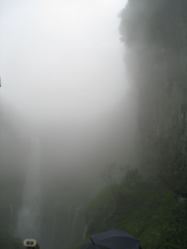 霧があるのって絵になります。