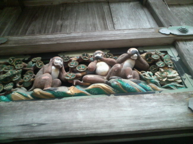 猿です。こんな所に!?って場所にいました。