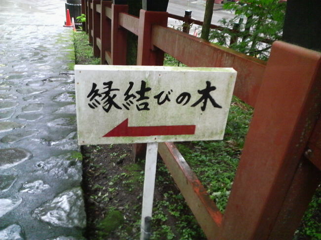 なんか日光には縁結びの木があるみたいです。