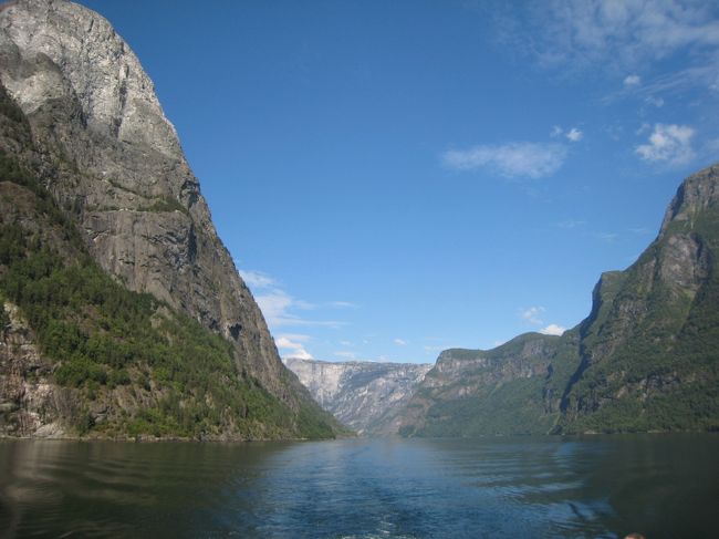観光船からのフィヨルドの様子。