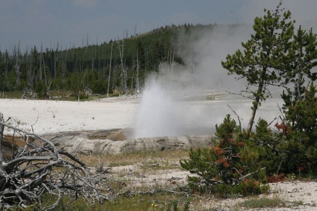 クリフ・ガイザー「Cliff Geyser」崖の間欠泉、崖というと何十メートルを想像します…間欠泉は高さ４〜５ｍに見えました。止むことなく常時噴出していました。<br />