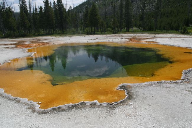 熱が大好きな微生物がたっぷり！！エメラルドグリーン「Emerald pool」
