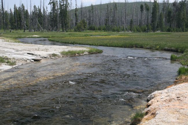 次なる目的地は、イエローストーン最大の山場「オールドフェイスフル・ガイザー」だ、先を急ごう！