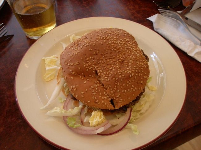 国立美術館近くの店で食べたハンバーガーです。<br />比較的安かったのですが、日本より遙かに高い。<br />食べ物には苦労します。