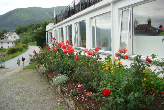 ホテルに咲いていた薔薇