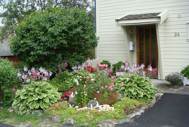 美しく咲いたお花。