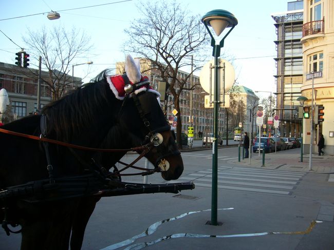 馬車の馬も耳のところがクリスマス仕様です。