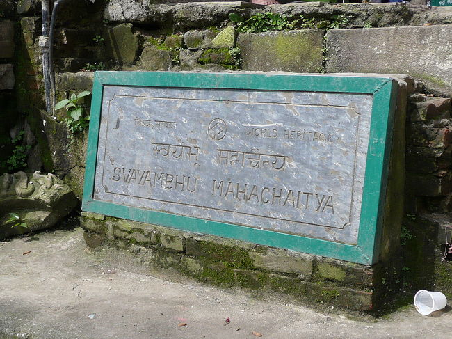 スワヤンブナート<br /><br />カトマンドゥへ着いて、半日はガイドさんと車で回ります。<br /><br />今回はホテル・国内航空券・カトマンドゥでの半日２回のガイドを現地の旅行会社に依頼しました。<br />（http://www.himalayanactivities.com/）<br />