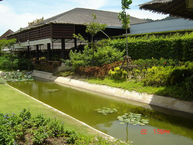 サムイ・エアポート到着。<br /><br />ここホントに空港ですか？<br />ホテルのエントランスかと思いました。<br />パパさんの感想は「道の駅みたいだな」でしたけど。<br /><br />