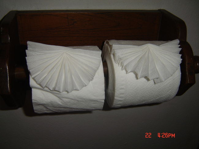 トイレットペーパーが可愛くセットされてました。<br />使うのもったいないけど・・使いました。