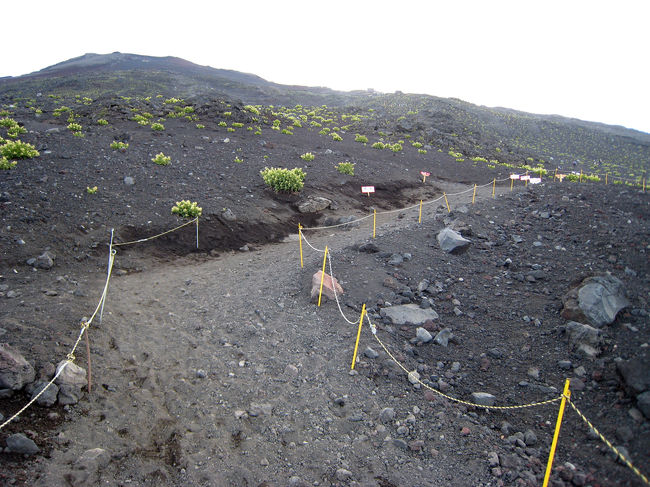 こんな感じに道が整備されていて感謝です。<br />端に赤い看板と沢山出会います。<br />応援の言葉や注意事項などを、呼びかけてくれます。<br />