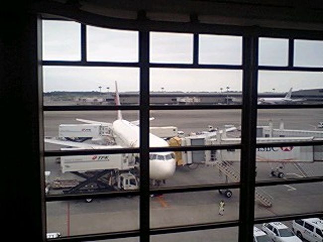 これから私達がのる飛行機<br />JL９５３便です。<br /><br />１４：４０発。<br /><br />マックで軽食を食べて空港内散策。<br />3人好奇心旺盛なので！