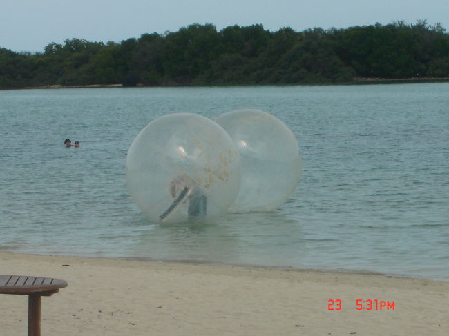 ふとビーチを見ると、大きな丸い物体が浮かんでいます。<br />見に行くと、ビーチボールのようなもので中に入れるようでした。<br /><br />早速、娘たち挑戦！<br />中で立ち上がるのが、簡単そうにみえて難しいらしく、５秒ほど足を動かしては転ぶの繰り返し。<br />バタバタしているのがハムスターが車を動かす様子にも見えて、面白い！<br /><br />うちの娘たちのあとに続くお客さんがいなかったためか、２０分以上たっても戻してくれる気配なし。<br />ブーコはボールの中で、かなりへばっていました。<br /><br />クラップバーン（家に帰るよ〜）とお兄さんに声をかけて、やっと終了。<br /><br /><br /><br />