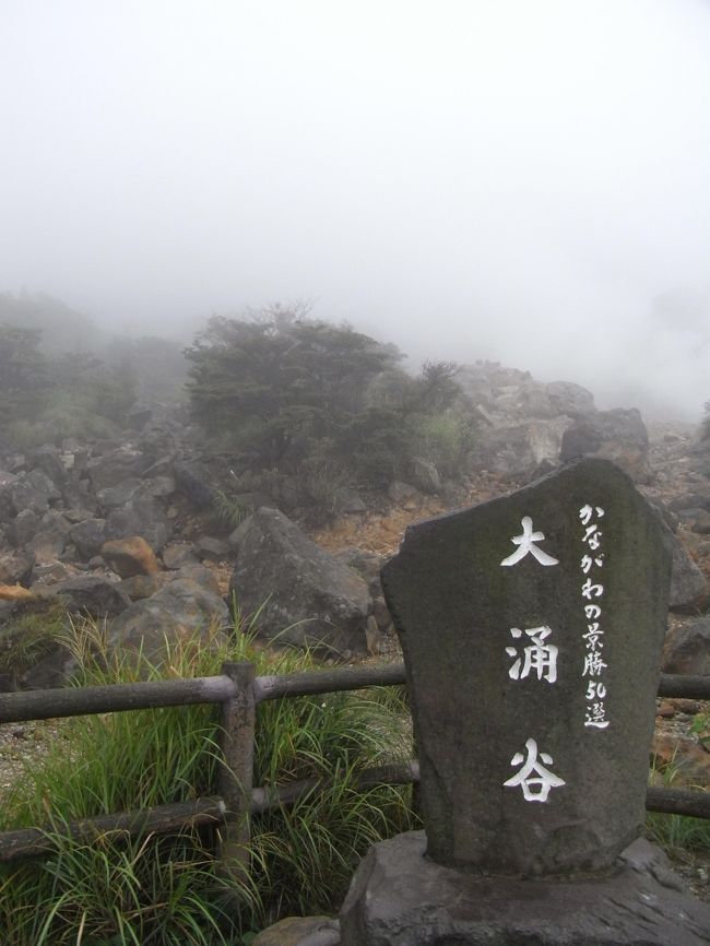 ひーひーいいながら着いた！頂上！<br />実際たいして登ってません。（笑）