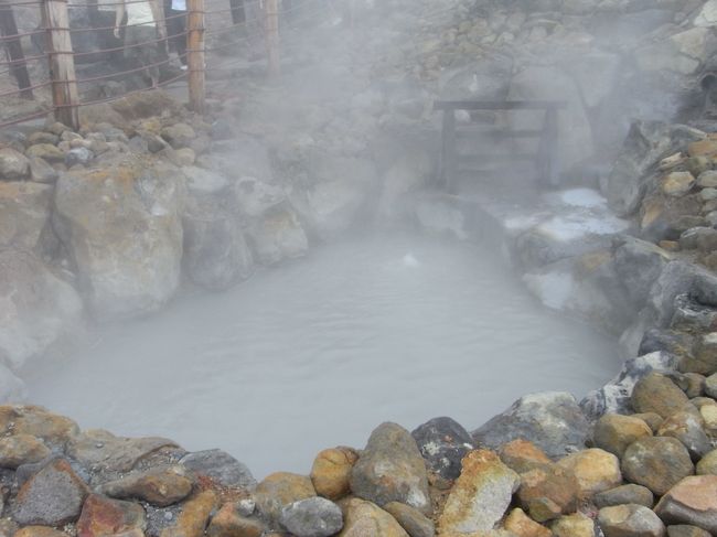 80度を超す温泉。。。<br />入ったら・・・大やけどだ。<br /><br />硫黄臭い。。。<br />隣の外国人のお兄さんがぼそっと<br /><br />Stinks（くさっ）<br /><br />ってつぶやいてた。<br />いや叫んでも大丈夫だよ。私もそう思うから（笑）