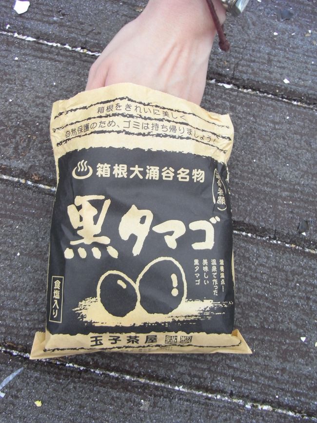 今日の目的。<br />それはこの卵を食べる事。<br />6個で500円。<br /><br />かなり厚いのに売店のお兄さんは<br />なれているのだろうか、<br />普通に触って袋詰めに励んでいた。