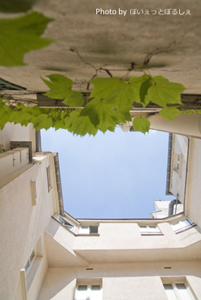 お部屋の窓から上を見上げると、空が見えるっ！<br /><br />（2枚前の写真の、奥の窓から見上げたところ）<br /><br />建物の中に空洞というかスペースがあるんですね。<br /><br />なんかちょっとうれしい。