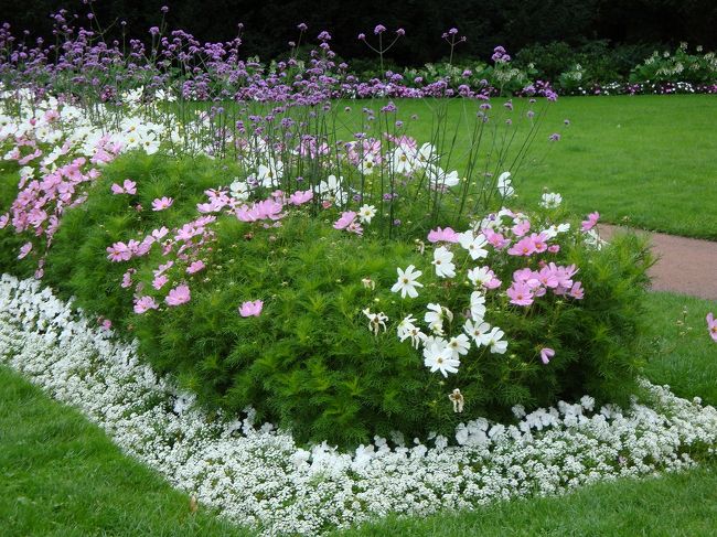 王宮の周りには素敵な公園があり、地元の人の憩いの場になっている様子。素敵な花がたくさん見られました。