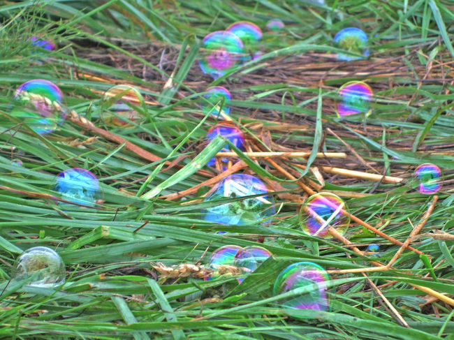 あとは、<br /><br />会場でパラパラと撮ったものをアップしておきます。<br /><br />これはBOHEMIAN GARDENのシャボン玉。<br /><br />このステージのゆるさが大好きです。