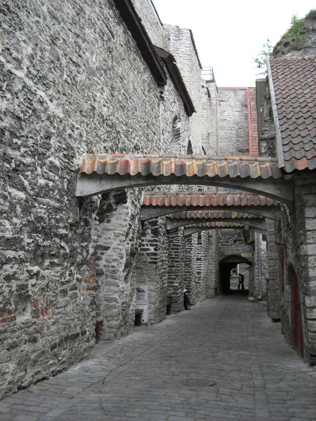 ドミニコ修道院に行きたかったのに、<br />終わってしまっていました。。。<br />残念。