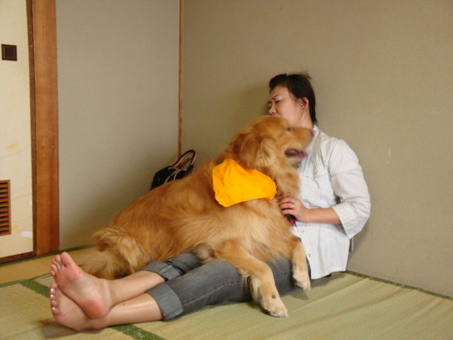愛犬同伴 夏の小豆島 小豆島 香川県 の旅行記 ブログ By のむさん フォートラベル