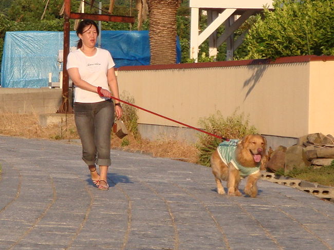 愛犬同伴 夏の小豆島 小豆島 香川県 の旅行記 ブログ By のむさん フォートラベル 愛犬同伴 夏の小豆島 小豆島 香川県 の旅行記 ブログ By のむさん フォートラベル