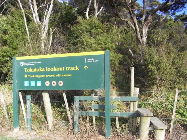 オークランドに向かう道に看板が出てたトカトカピークに登ってみる事にした。<br />道には所々、牛が入ってこないように針金で囲いがしてあるので、それを乗り越えて入って行くようになってる。