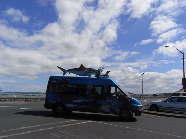 12時にオークランド着。<br />どうせなのでケリータールトン水族館にやってきました。