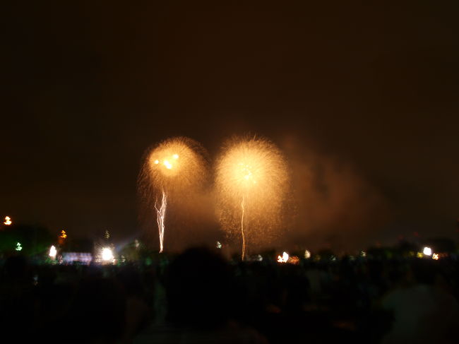 花火３<br />・・・やっぱり花火を写真で撮るのって難しい。。