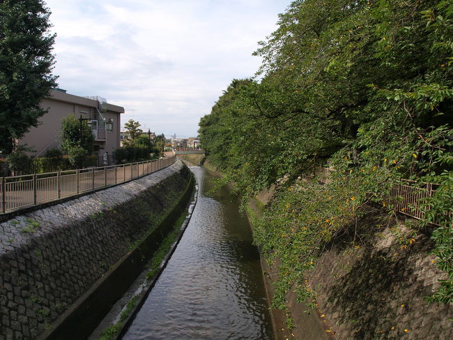 善福寺川のほとり<br />春になると桜が咲き乱れてキレイな場所。