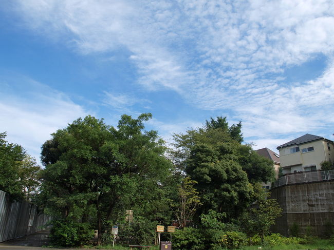 雨のあとの晴天。