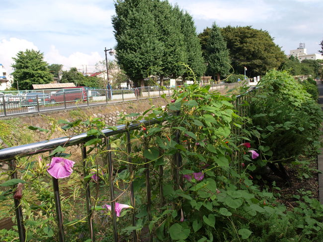 もうすぐ夏も終わり。