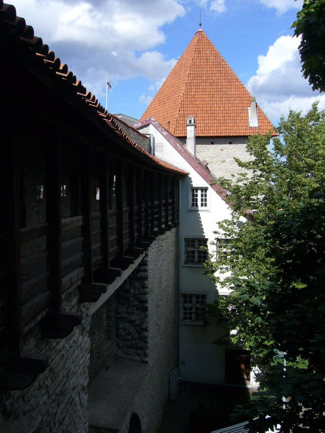 城壁内部は、こうやってやぐらが組まれて下から上って周囲を監視できるようになっています。上り下りする階段は、石組みの人一人が通れるくらいだけど。