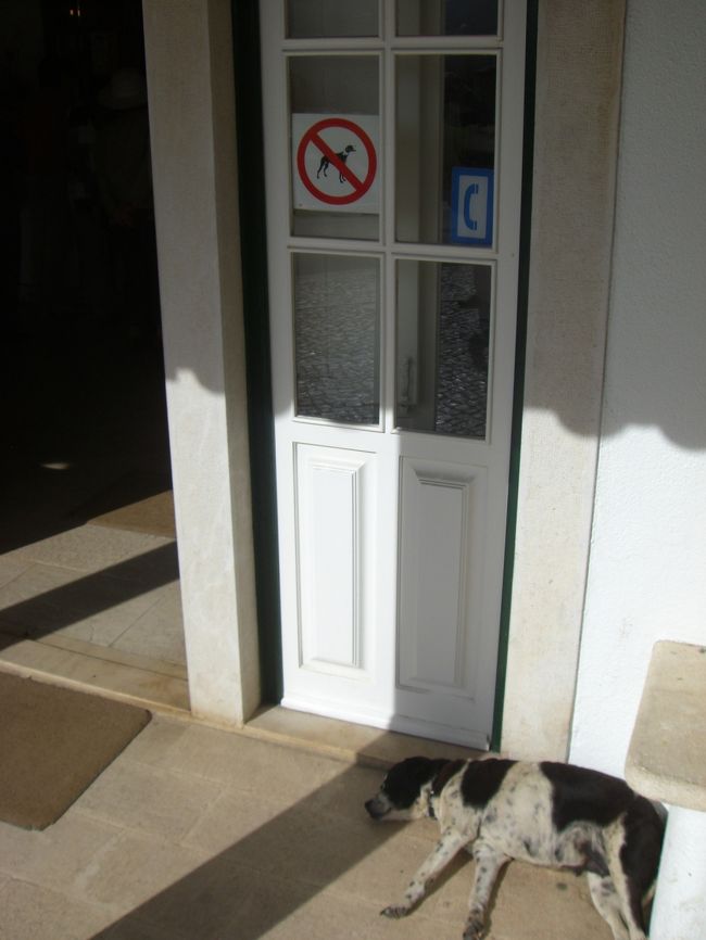 「証明書」を発行してくれる・・・もちろん有料で・・・事務所の入口にて。犬入室禁止のメッセージに従順に従う、とても聞き分けのいい犬でした。<br />