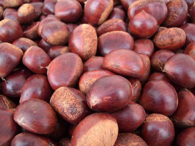 栗<br /><br /><br />韓国でも栗は有名です。<br />秋の味覚、栗の山をアップで撮ってみました。<br /><br /><br />■Photolibrary<br />http://www.photolibrary.jp/img66/69_195560.html